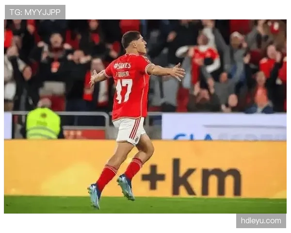 本菲卡防守稳固状态回升，争冠希望重燃